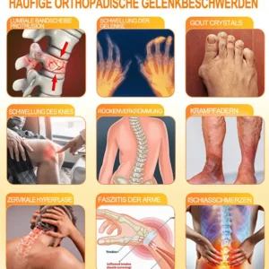 🐝 Offizieller Online-Shop丨Purelora® Bee Venom & Lithospermum Comfort Cream Wenn Gehen, Stehen oder Schlafen unangenehm wird — tägliche Schmerzlinderung & Knochenkomfort für ältere Erwachsene