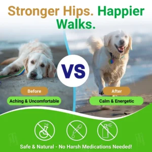 GreenKiss® Advanced Hip & Joint Complex Soft Chews | Turmeric + HA + Collagen