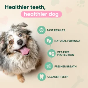 Pawzioo™ Probiotic Enzymatic Dental Spray