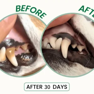 Pawzioo™ Probiotic Enzymatic Dental Spray