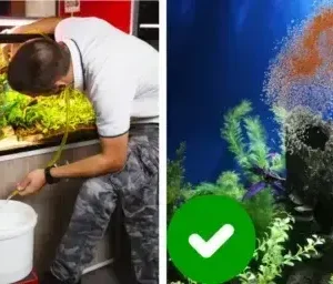 Rosopl® Aquariums Aqua-Guardian Blend