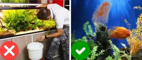 Rosopl® Aquariums Aqua-Guardian Blend