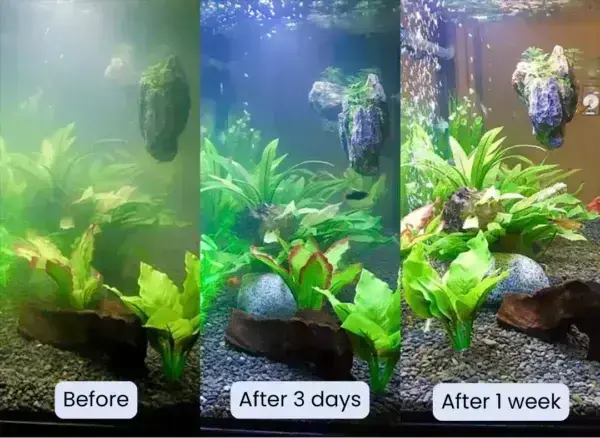 Rosopl® Aquariums Aqua-Guardian Blend