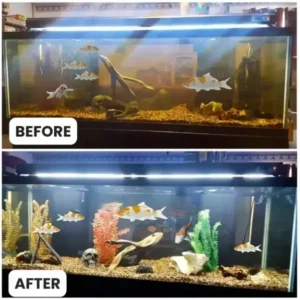 Rosopl® Aquariums Aqua-Guardian Blend