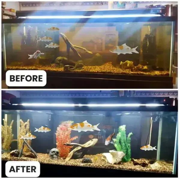 Rosopl® Aquariums Aqua-Guardian Blend