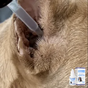 Pet Ear Pro Drops FM+ 2026 | Fast Relief for Cats & Dogs
