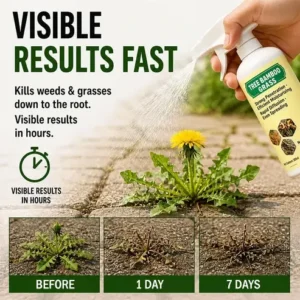 🔥🔥2026 SALE - Fast-Acting Natural Weed & Grass Killer Spray