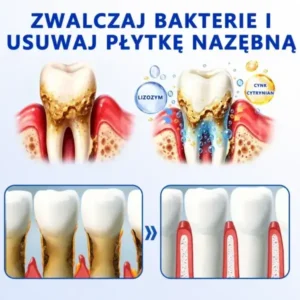 đŽđđđđđđđđÂŽ đŽđđđšđđđđđ Ĺťđđ đ
đ đđđđđđđđđđđ đ
đđÄ
đđĹ