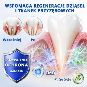 đŽđđđđđđđđÂŽ đŽđđđšđđđđđ Ĺťđđ đ
đ đđđđđđđđđđđ đ
đđÄ
đđĹ